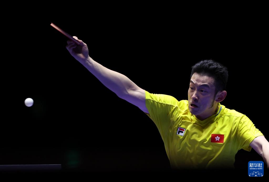 德国模式的 德国模式的